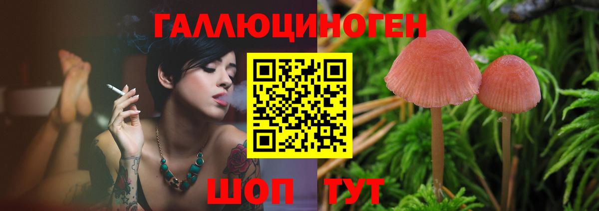 Псилоцибиновые грибы ЛСД Черногорск