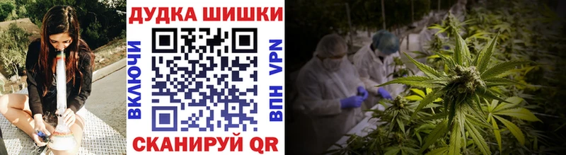 Каннабис OG Kush Черногорск